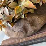 Lappa Bush in a Organic Shaped Rust/Brown Bowl RTfact Flowers 