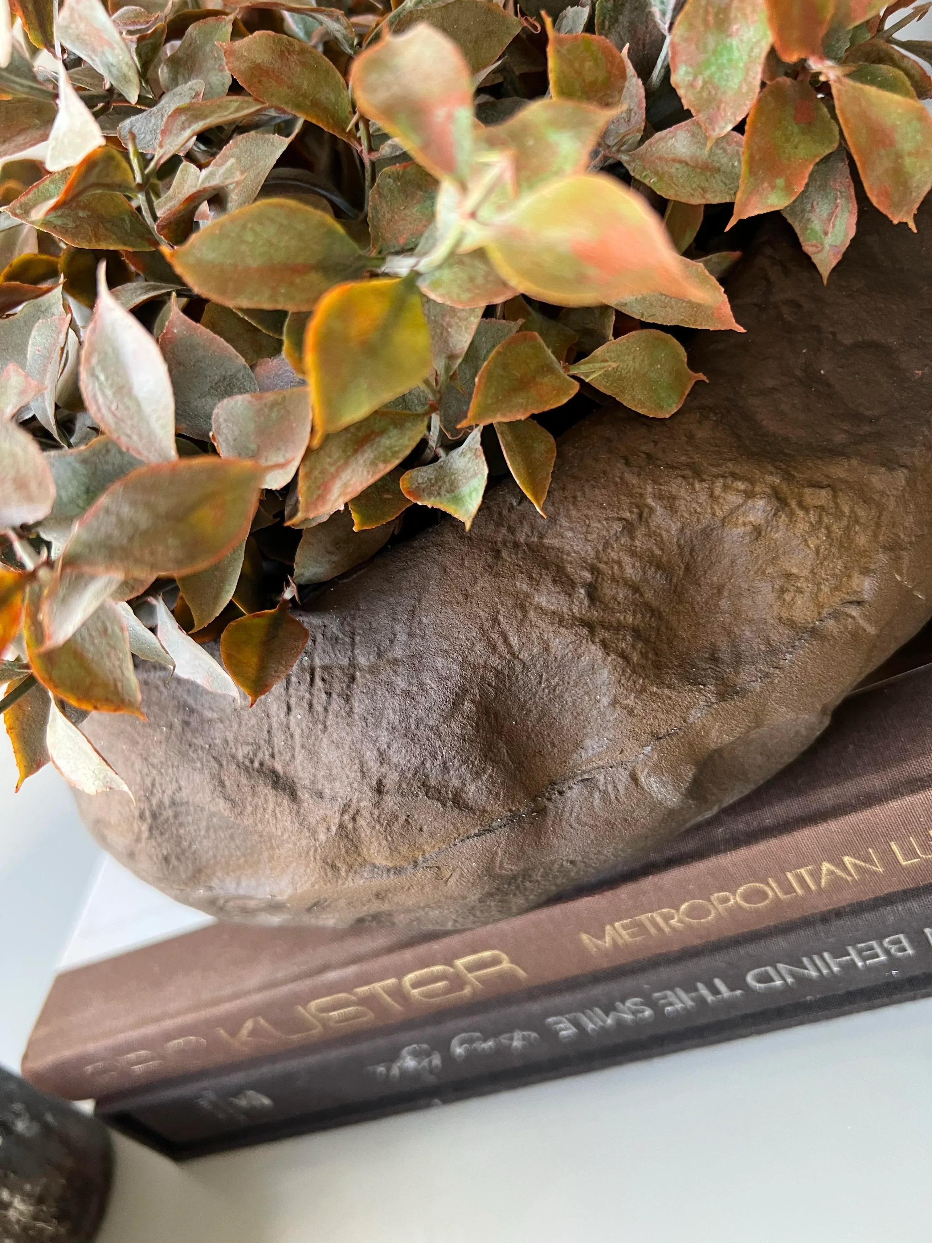 Lappa Bush in a Organic Shaped Rust/Brown Bowl RTfact Flowers 