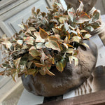 Lappa Bush in a Organic Shaped Rust/Brown Bowl RTfact Flowers 