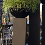 Grasses in a Large Black Matt Bowl RTfact Flowers 