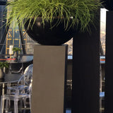 Grasses in a Large Black Matt Bowl RTfact Flowers 
