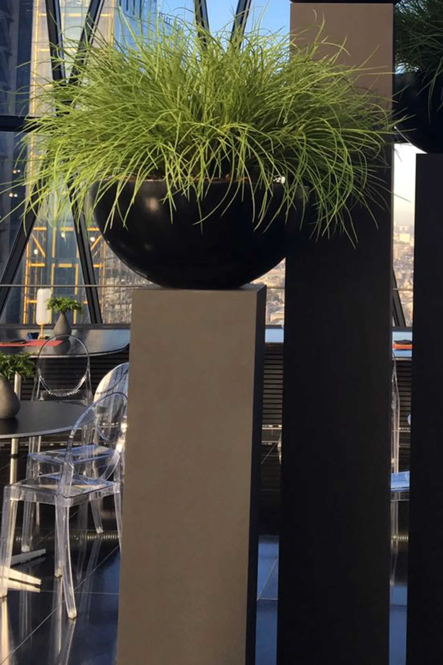 Grasses in a Large Black Matt Bowl RTfact Flowers 