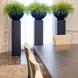 Grasses in a Large Black Matt Bowl RTfact Flowers 