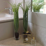 Grasses in a Glass Cylinder RTfact Flowers 