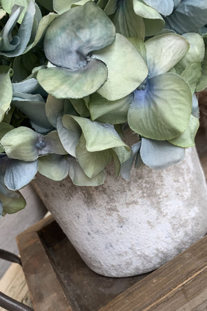 Hydrangeas in a Lime Washed Stone Pot (Blue/Green)