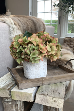 Hydrangeas in a Lime Washed Stone Pot (Coral/Green)