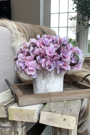 Hydrangeas in a Lime Washed Stone Pot (Pink)