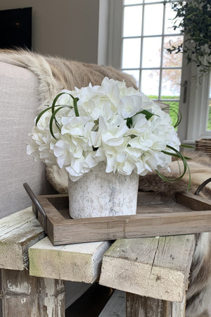 Hydrangeas in a Lime washed Stone Pot (White)