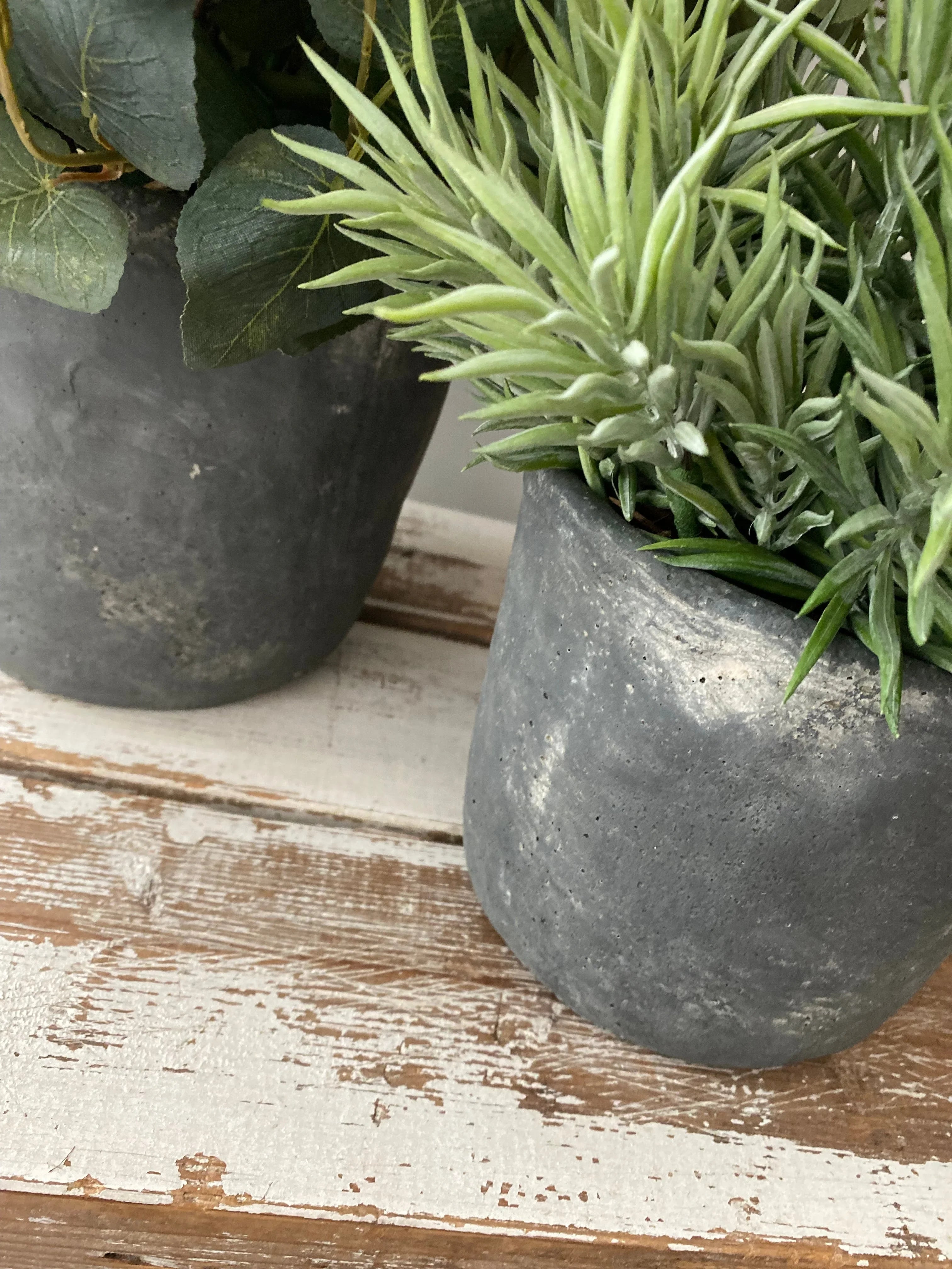 Eucalyptus and Spiky Succulent in a Grey Stone Pot RTfact Flowers 
