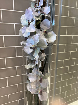 Vanda Orchid in a Tall Glass Cylinder (3 colours)