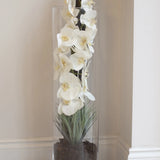 Orchids and Bamboo in a Glass Cylinder RTfact Flowers 