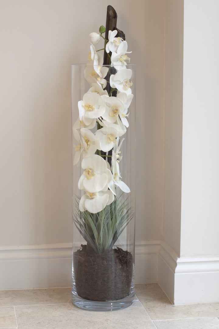 Orchids and Bamboo in a Glass Cylinder