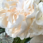 Peony, Hydrangea and Roses in a Stem Lined Vase (Soft Peach) RTfact Flowers 