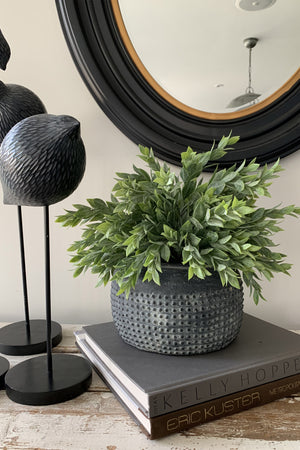 Ruscus in a Grey Stone Vase