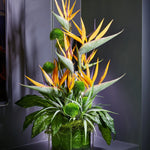 Tropical Birds of Paradise and Dianthus in a Glass Cube RTfact Flowers 