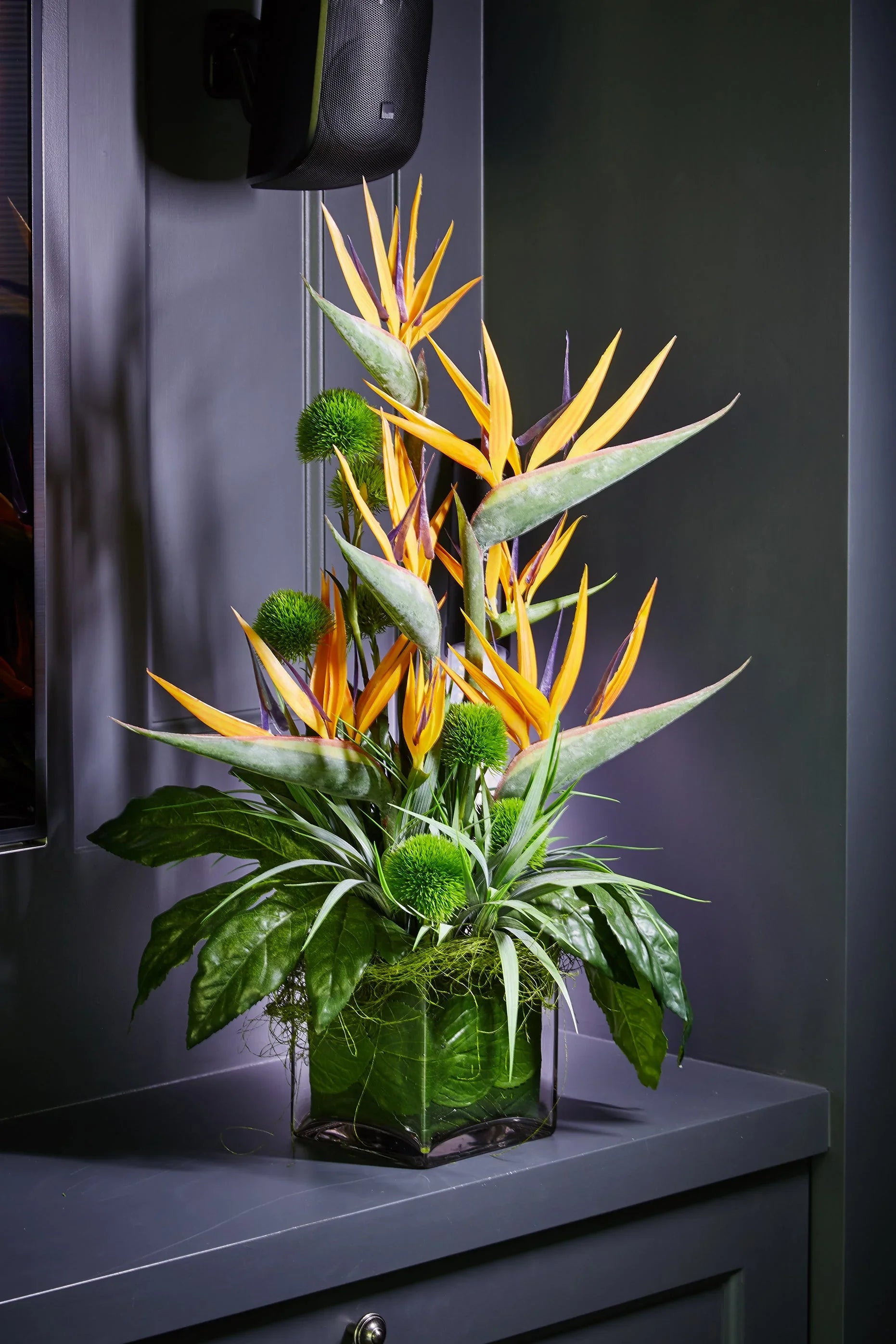 Tropical Birds of Paradise and Dianthus in a Glass Cube RTfact Flowers 