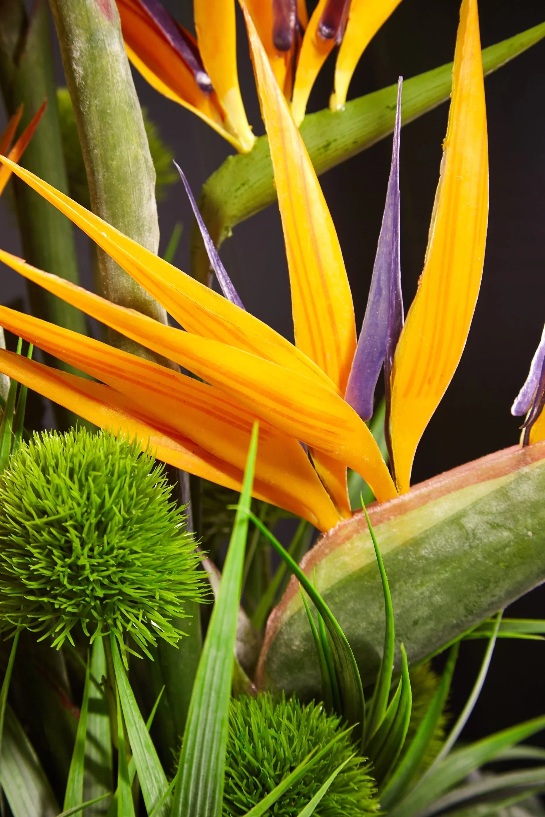 Tropical Birds of Paradise and Dianthus in a Glass Cube RTfact Flowers 