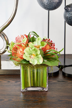 Vanda Orchids with Protea in a Stem Lined Cube
