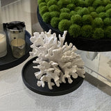 Coral Objet (small) RTfact Flowers 