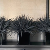 Black Grasses in a Black Glass Cube RTfact Flowers 