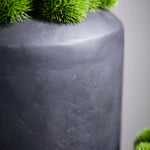 Dianthus in a Matt Black Planter RTfact Flowers 