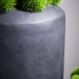 Dianthus in a Matt Black Planter RTfact Flowers 