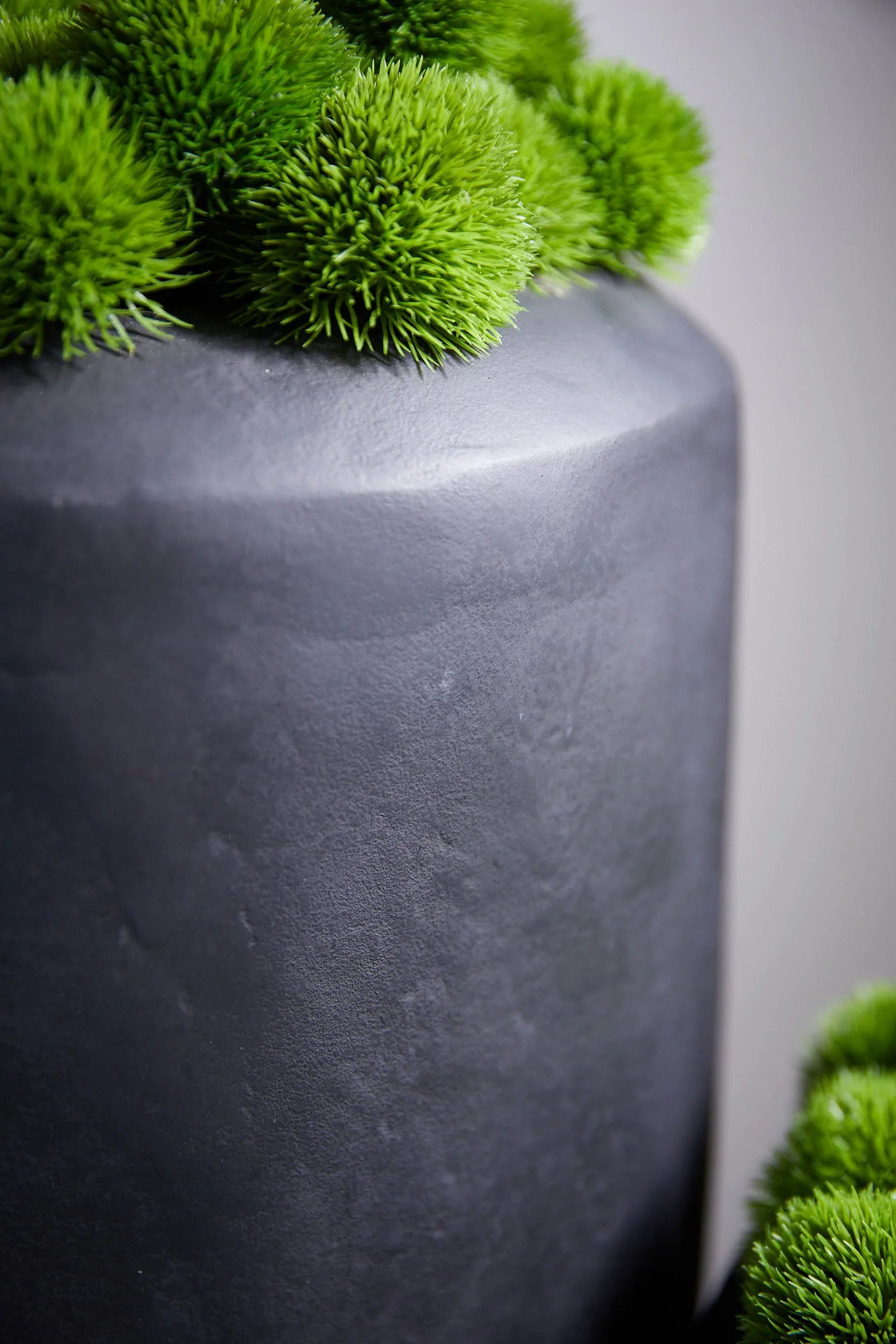 Dianthus in a Matt Black Planter RTfact Flowers 