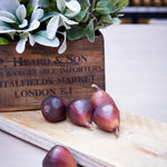 Artificial Fig RTfact Flowers 