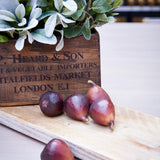 Artificial Fig RTfact Flowers 