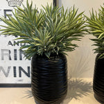 Spiky Succulents in a Carved Glass Vase RTfact Flowers 