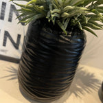 Spiky Succulents in a Carved Glass Vase RTfact Flowers 