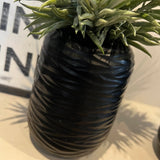 Spiky Succulents in a Carved Glass Vase RTfact Flowers 