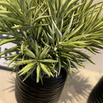 Spiky Succulents in a Carved Glass Vase RTfact Flowers 