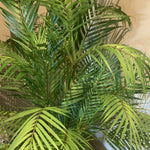 Artificial Areca Palm RTfact Flowers 