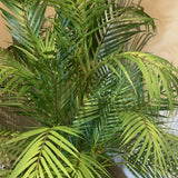 Artificial Areca Palm RTfact Flowers 
