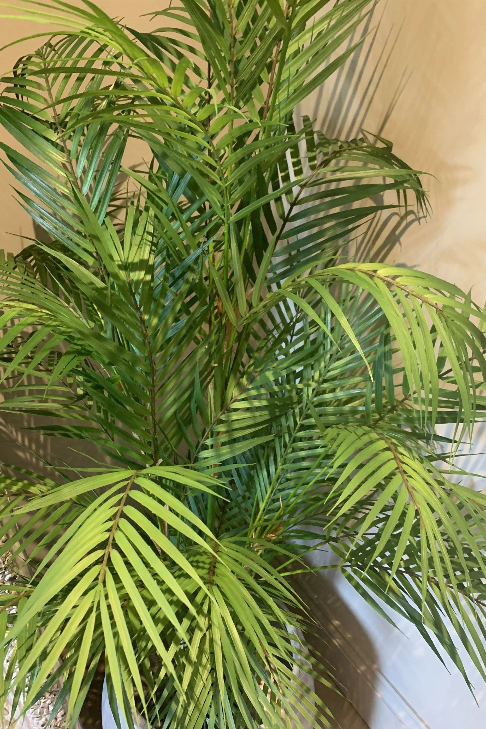 Artificial Areca Palm RTfact Flowers 
