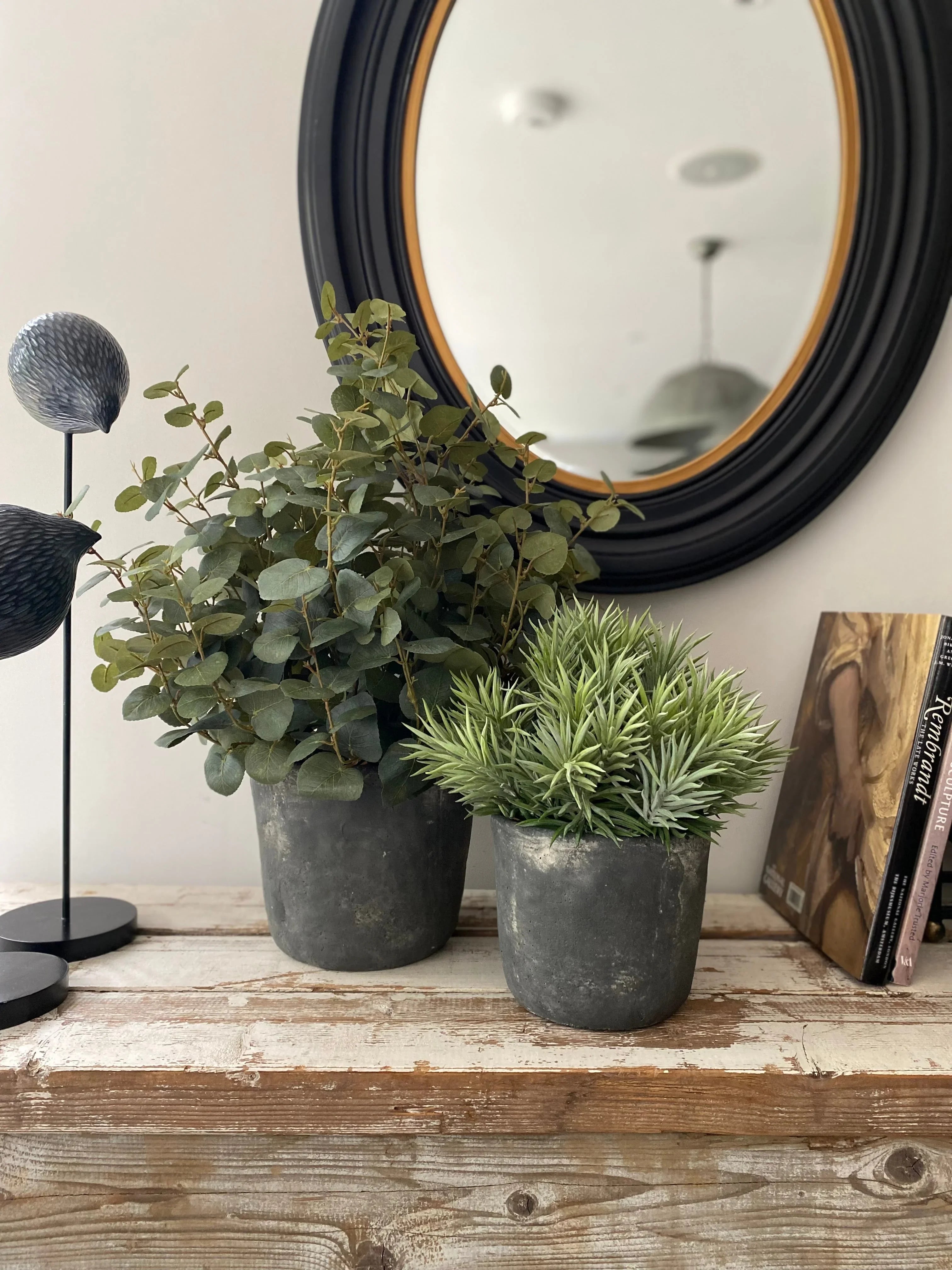 Eucalyptus and Spiky Succulent in a Grey Stone Pot RTfact Flowers 