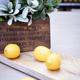 Artificial Lemons RTfact Flowers 