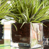 Vanilla Grass in a Glass Cube RTfact Flowers 